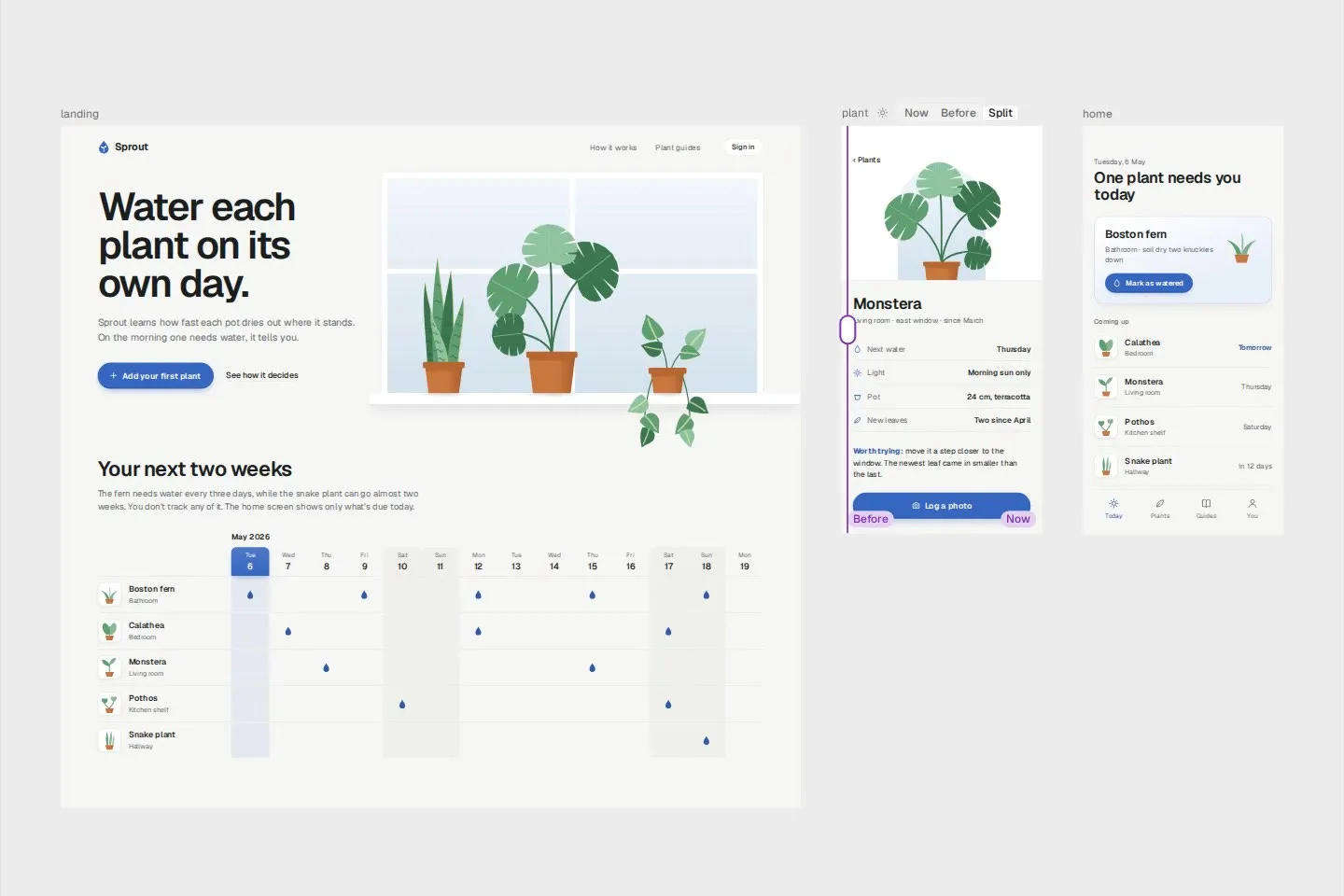 The plant frame split between its version before and now